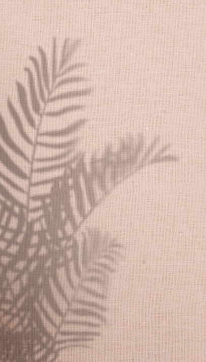 Fundo rosa com a sombra de uma planta