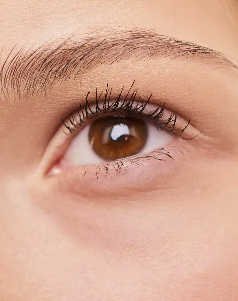 Grande plano de um olho castanho com pestanas longas.